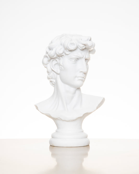 David Statue Head Sculpture