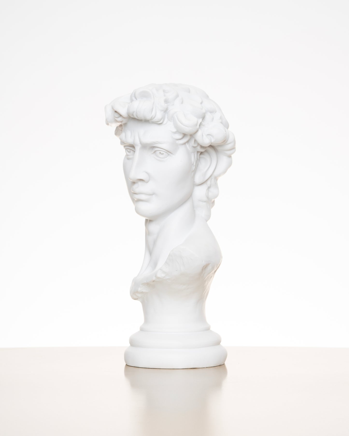 David Statue Head Sculpture