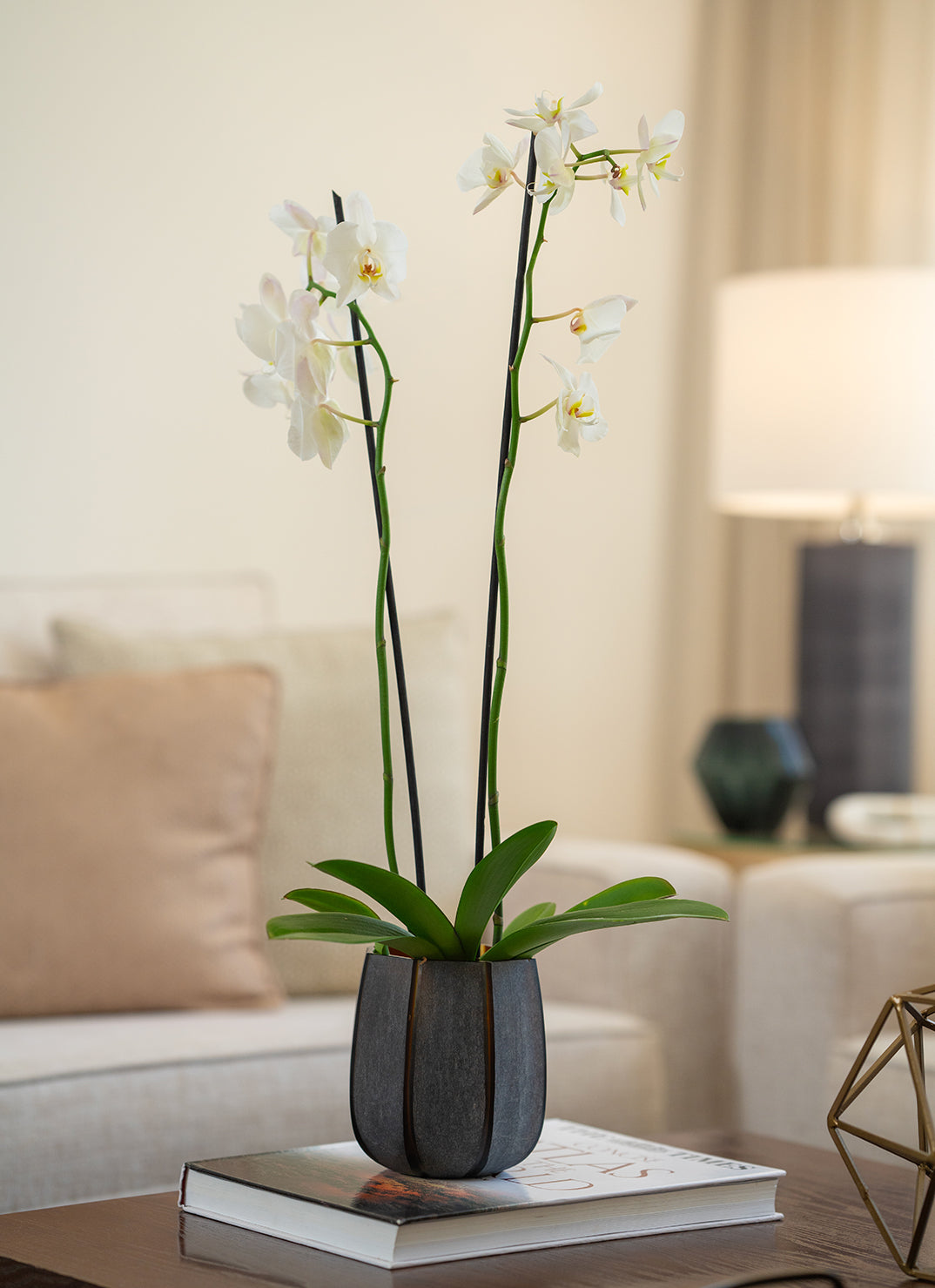 Butter Brown vase with rough cut